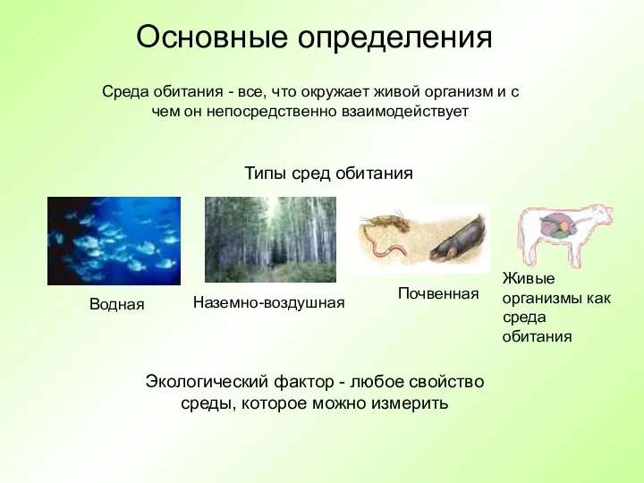 Основные определения Среда обитания - все, что окружает живой организм и с