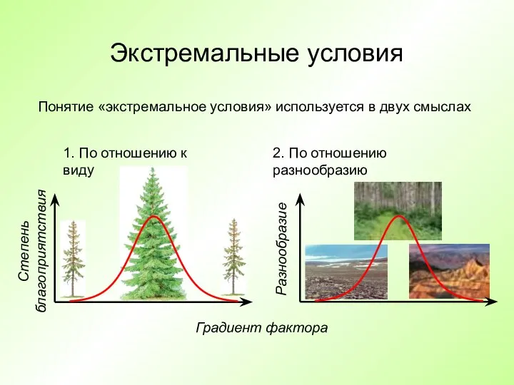 Экстремальные условия Понятие «экстремальное условия» используется в двух смыслах Степень благоприятствия Градиент