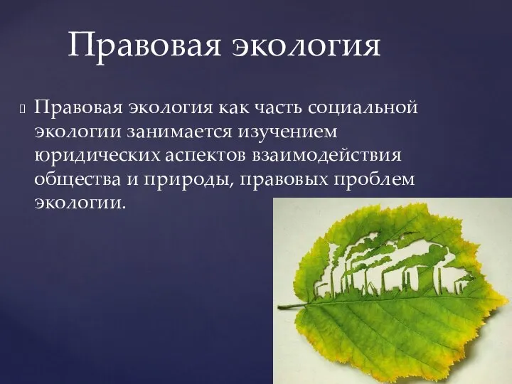 Правовая экология как часть социальной экологии занимается изучени­ем юридических аспектов взаимодействия общества