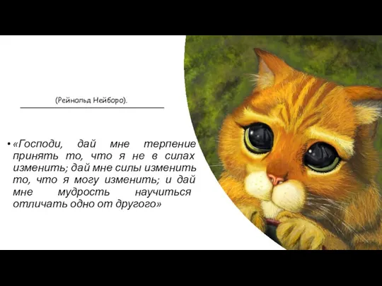 «Господи, дай мне терпение принять то, что я не в силах изменить;