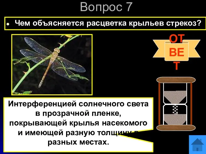 Вопрос 7 Чем объясняется расцветка крыльев стрекоз? ОТВЕТ Интерференцией солнечного света в