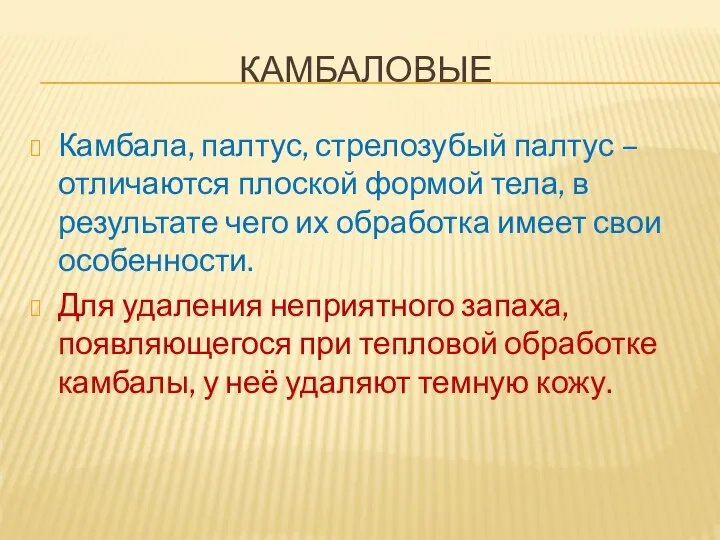 КАМБАЛОВЫЕ Камбала, палтус, стрелозубый палтус – отличаются плоской формой тела, в результате