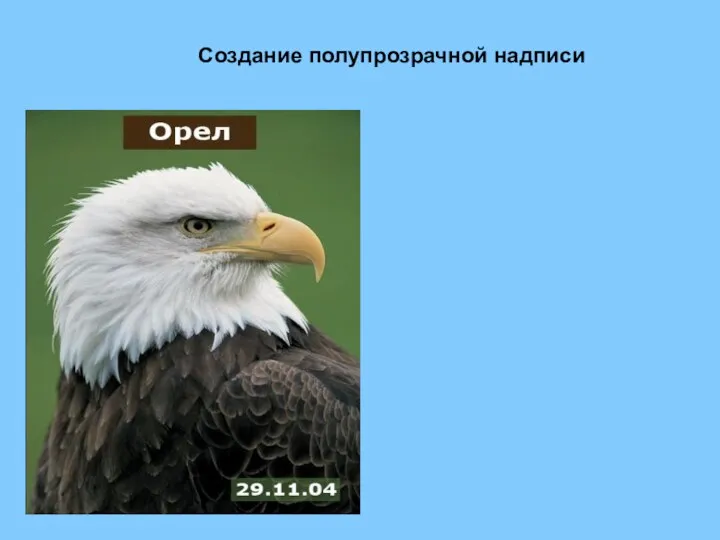 Создание полупрозрачной надписи