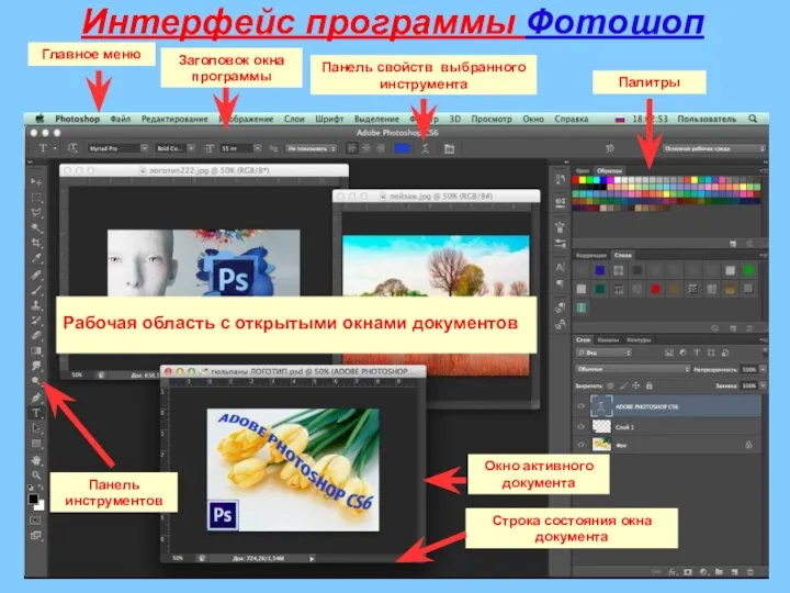 Интерфейс программы Фотошоп Главное меню Панель инструментов Панель свойств выбранного инструмента Палитры