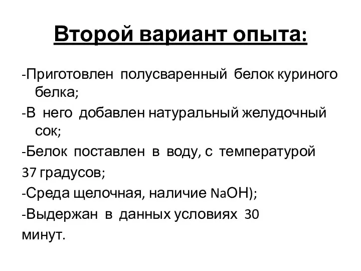 Второй вариант опыта: -Приготовлен полусваренный белок куриного белка; -В него добавлен натуральный