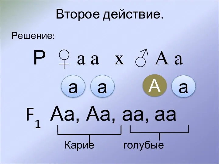 Второе действие. Решение: Р ♀ а а х ♂ А а G