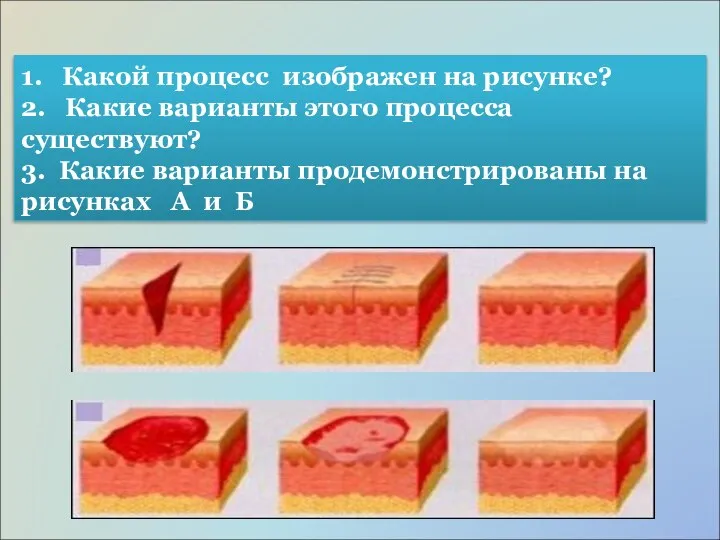 1. Какой процесс изображен на рисунке? 2. Какие варианты этого процесса существуют?