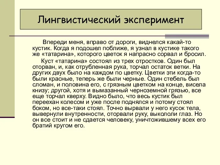 Впереди меня, вправо от дороги, виднелся какай-то кустик. Когда я подошел поближе,