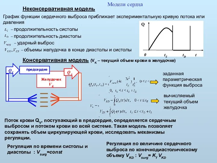 Модели сердца Неконсервативная модель График функции сердечного выброса приближает экспериментальную кривую потока