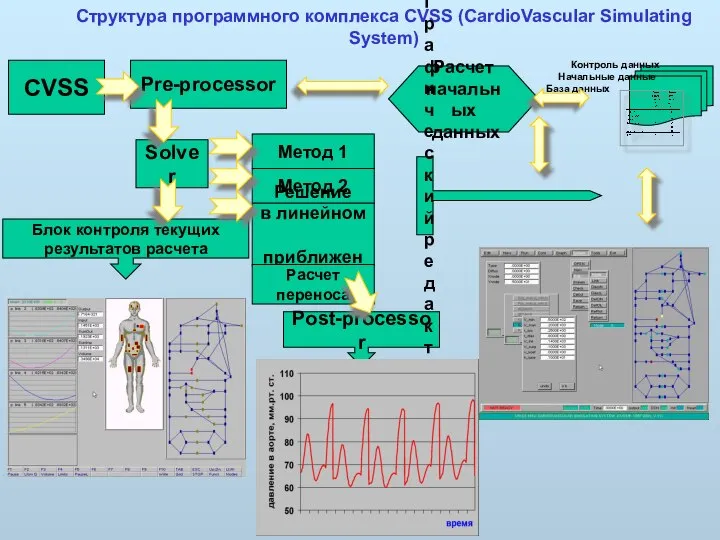 Структура программного комплекса CVSS (CardioVascular Simulating System) CVSS Pre-processor Расчет начальных данных