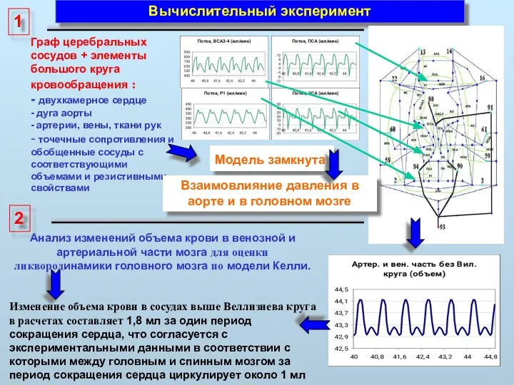 Вычислительный эксперимент Анализ изменений объема крови в венозной и артериальной части мозга