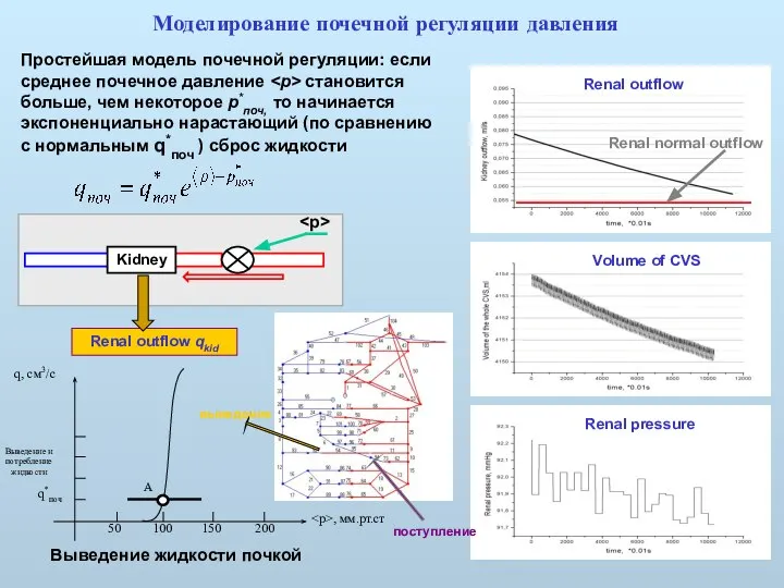 Моделирование почечной регуляции давления Renal pressure Volume of CVS Простейшая модель почечной