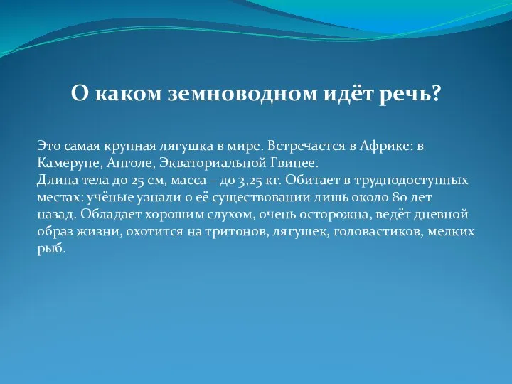 О каком земноводном идёт речь? Это самая крупная лягушка в мире. Встречается