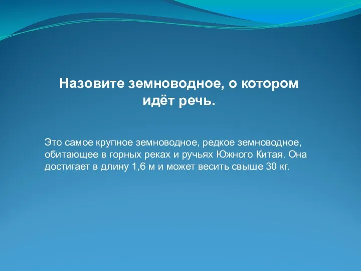 Назовите земноводное, о котором идёт речь. Это самое крупное земноводное, редкое земноводное,