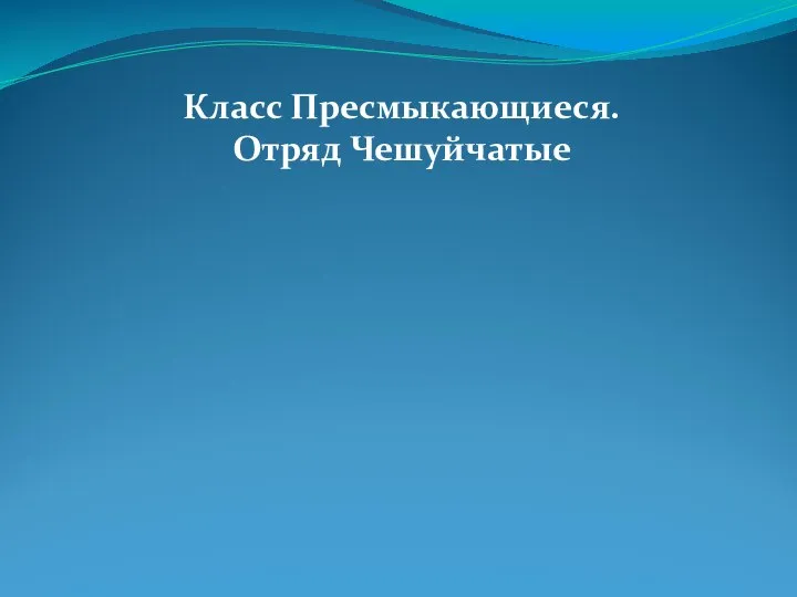 Класс Пресмыкающиеся. Отряд Чешуйчатые