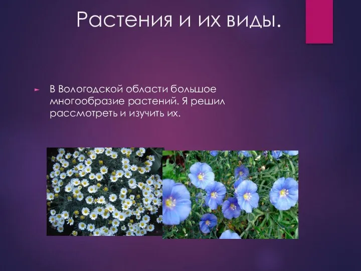 Растения и их виды. В Вологодской области большое многообразие растений. Я решил рассмотреть и изучить их.