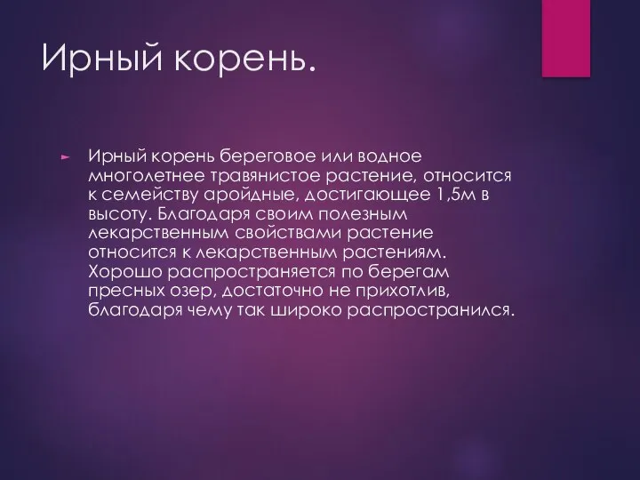 Ирный корень. Ирный корень береговое или водное многолетнее травянистое растение, относится к