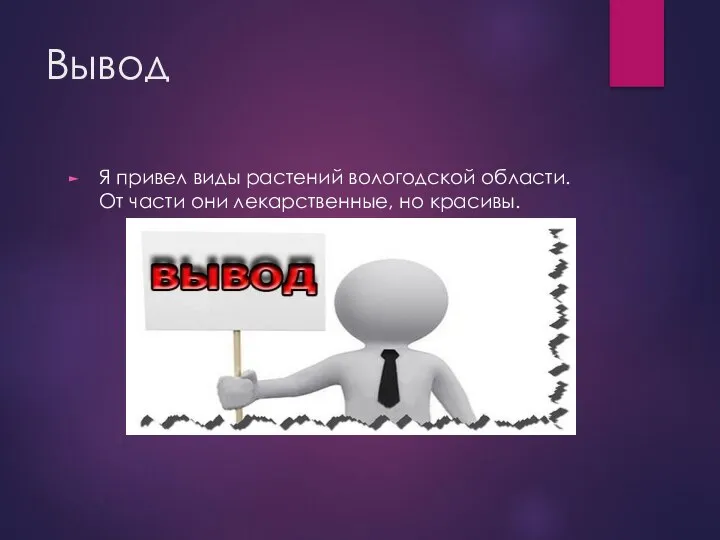 Вывод Я привел виды растений вологодской области. От части они лекарственные, но красивы.