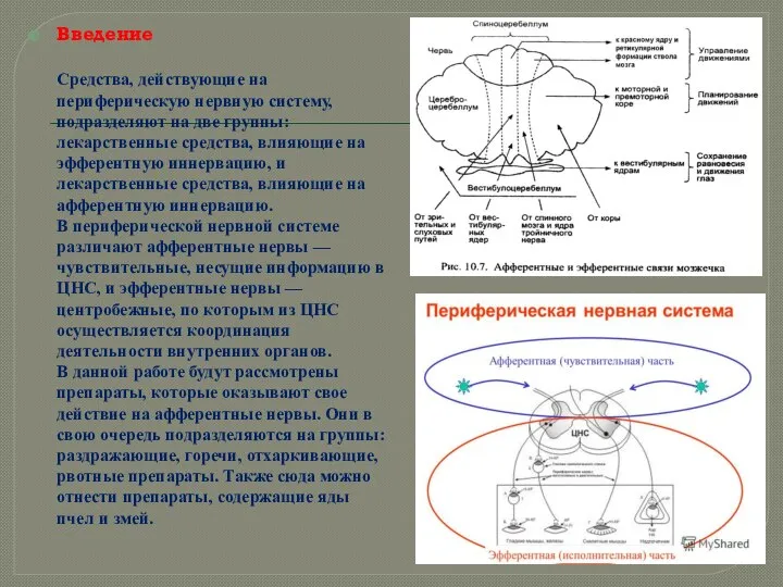 Введение Средства, действующие на периферическую нервную систему, подразделяют на две группы: лекарственные