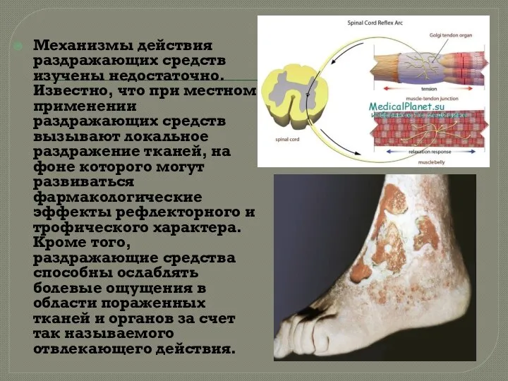 Механизмы действия раздражающих средств изучены недостаточно. Известно, что при местном применении раздражающих