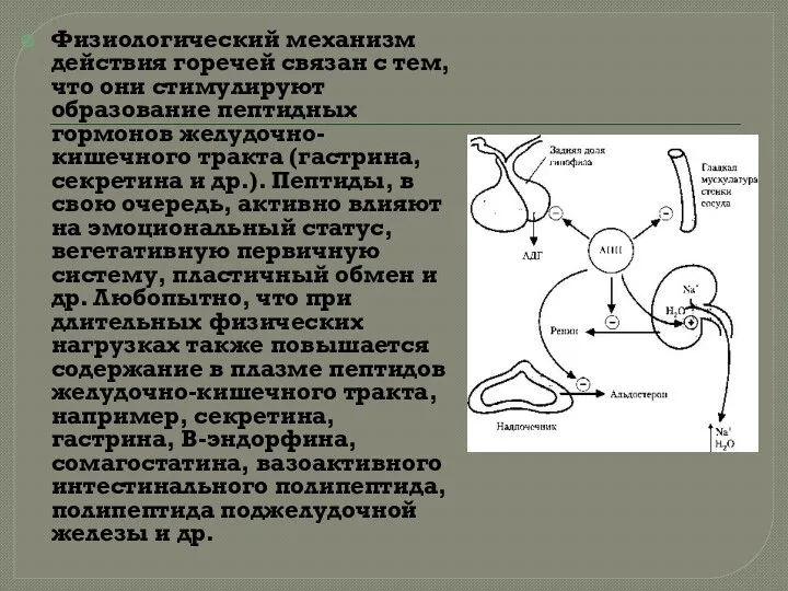 Физиологический механизм действия горечей связан с тем, что они стимулируют образование пептидных