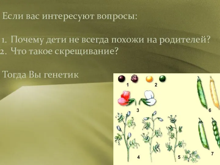 Если вас интересуют вопросы: Почему дети не всегда похожи на родителей? Что