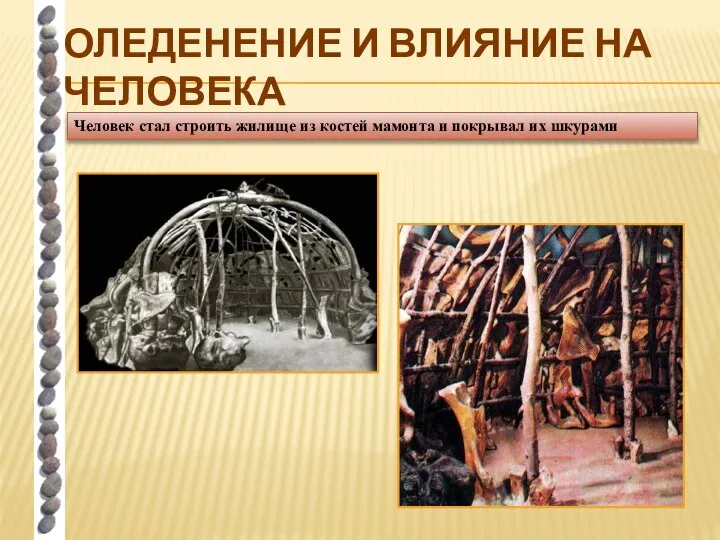 ОЛЕДЕНЕНИЕ И ВЛИЯНИЕ НА ЧЕЛОВЕКА Человек стал строить жилище из костей мамонта и покрывал их шкурами