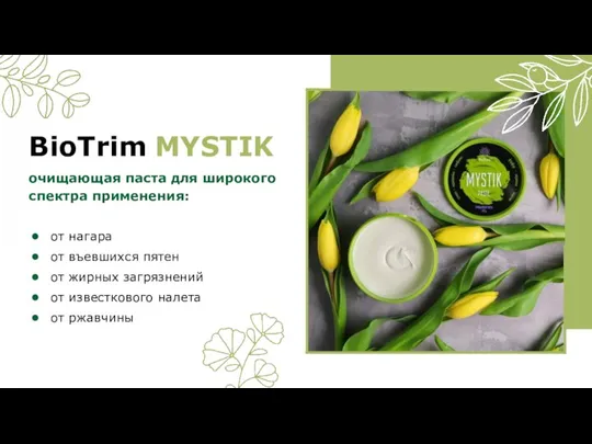 BioTrim MYSTIK от нагара от въевшихся пятен от жирных загрязнений от известкового