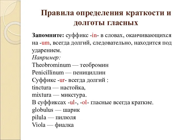 Правила определения краткости и долготы гласных Запомните: суффикс -in- в словах, оканчивающихся