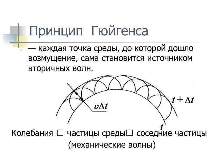 Принцип Гюйгенса — каждая точка среды, до которой дошло возмущение, сама становится