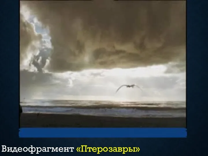 Видеофрагмент «Птерозавры»