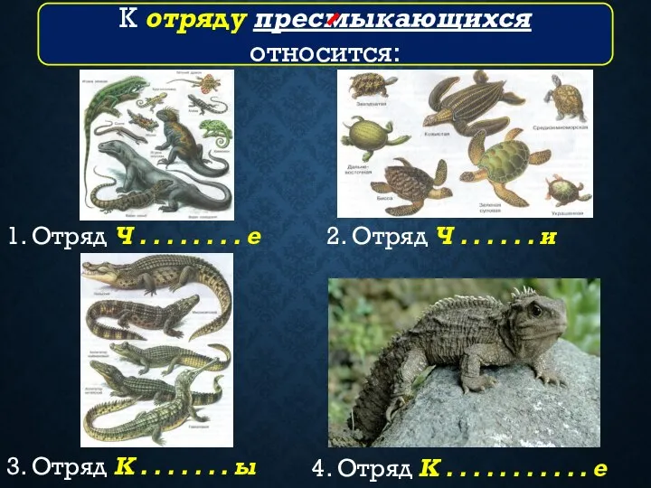 1. Отряд Ч . . . . . . . . е