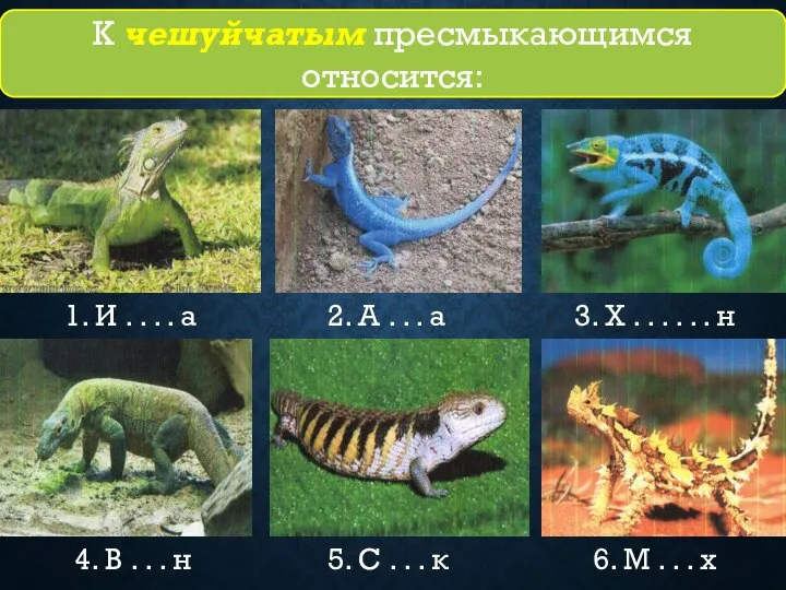 1. И . . . . а 2. А . . .