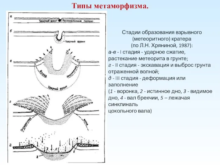 Типы метаморфизма. Стадии образования взрывного (метеоритного) кратера (по Л.Н. Хряниной, 1987): а-в