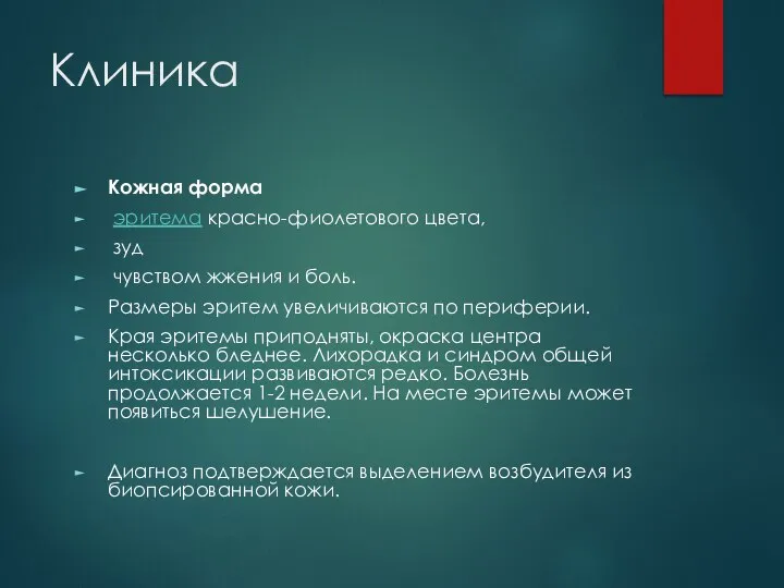 Клиника Кожная форма эритема красно-фиолетового цвета, зуд чувством жжения и боль. Размеры