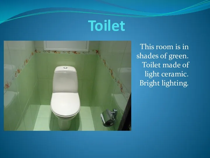 Toilet This room is in shades of green. Toilet made ​​of light ceramic. Bright lighting.