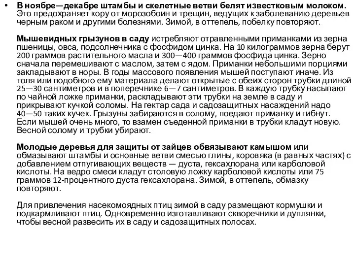 В ноябре—декабре штамбы и скелетные ветви белят известковым молоком. Это предохраняет кору