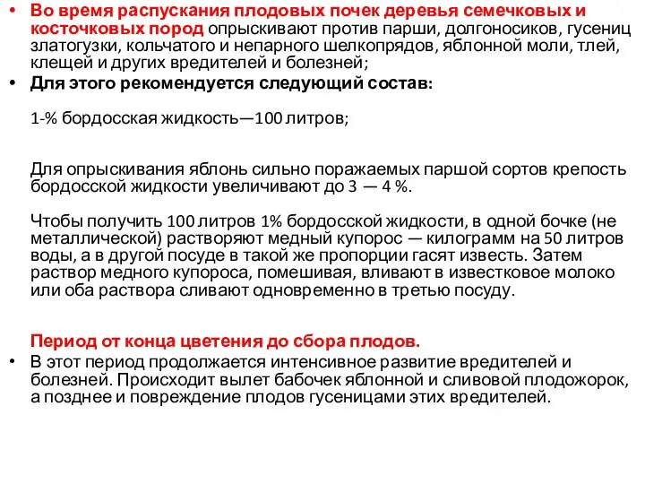 Во время распускания плодовых почек деревья семечковых и косточковых пород опрыскивают против