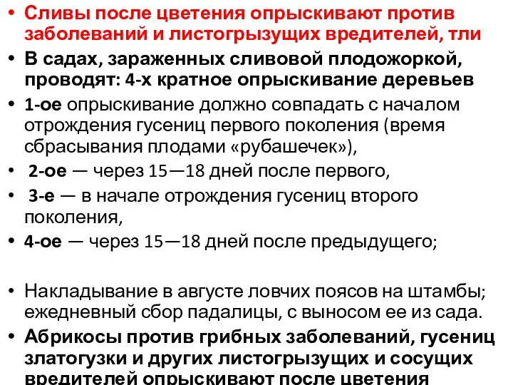 Сливы после цветения опрыскивают против заболеваний и листогрызущих вредителей, тли В садах,