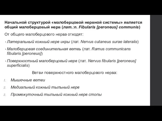 Начальной структурой «малоберцовой нервной системы» является общий малоберцовый нерв (лат.:n. Fibularis [peroneus]