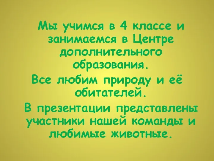 Мы учимся в 4 классе и занимаемся в Центре дополнительного образования. Все