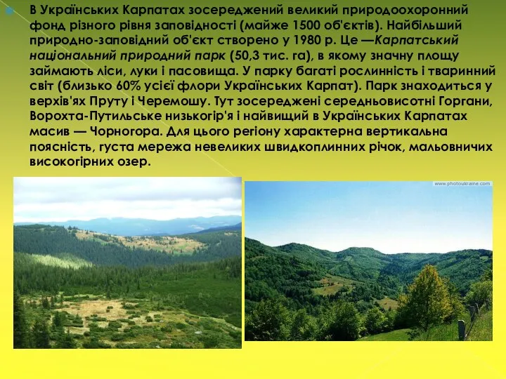 В Українських Карпатах зосереджений великий природоохоронний фонд різного рівня заповідності (майже 1500