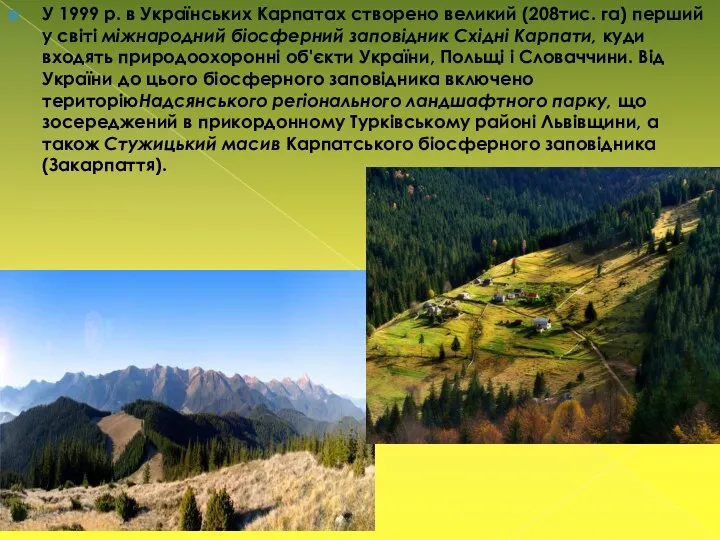 У 1999 р. в Українських Карпатах створено великий (208тис. га) перший у