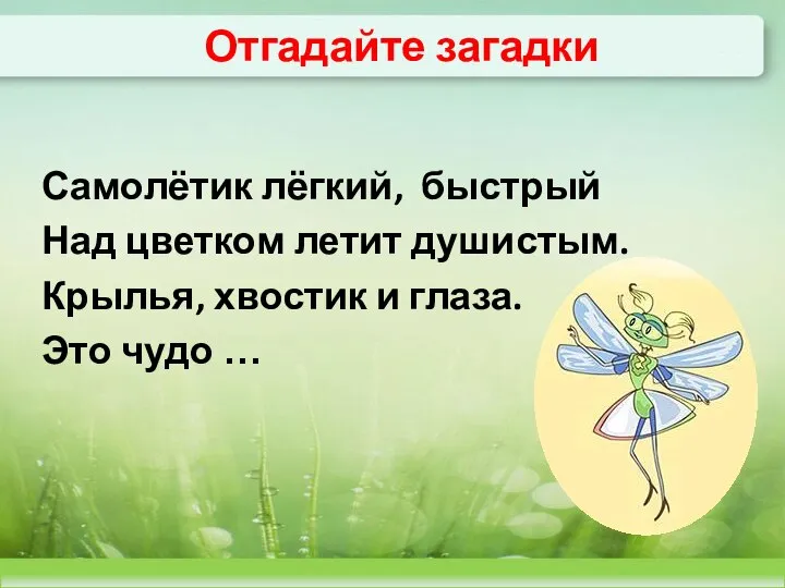 Отгадайте загадки Самолётик лёгкий, быстрый Над цветком летит душистым. Крылья, хвостик и глаза. Это чудо …