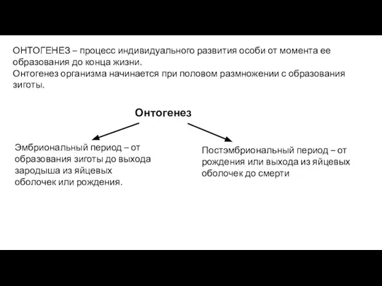 ОНТОГЕНЕЗ – процесс индивидуального развития особи от момента ее образования до конца