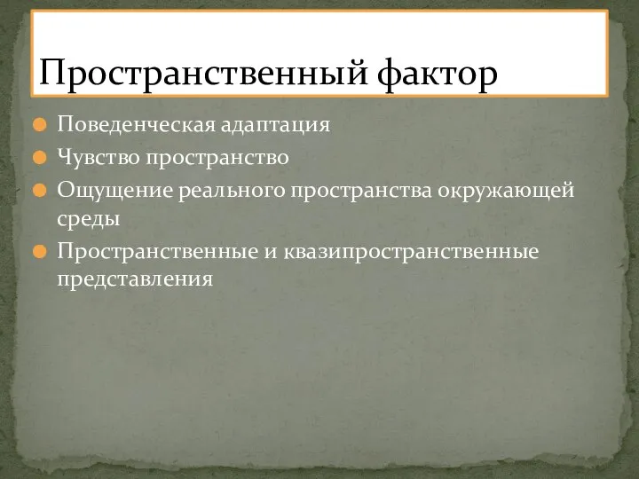 Поведенческая адаптация Чувство пространство Ощущение реального пространства окружающей среды Пространственные и квазипространственные представления Пространственный фактор