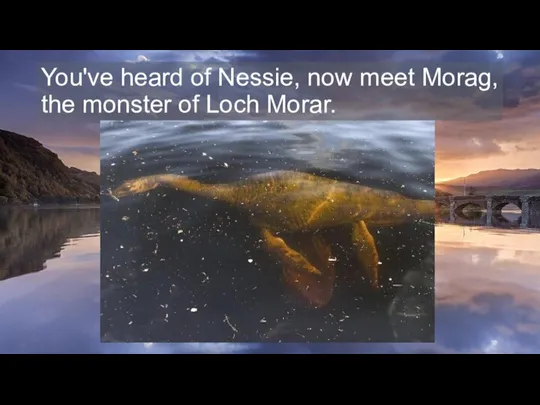 You've heard of Nessie, now meet Morag, the monster of Loch Morar.