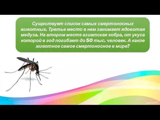 Существует список самых смертоносных животных. Третье место в нем занимает ядовитая медуза.