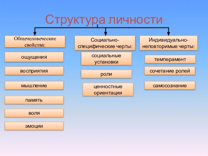 Структура личности