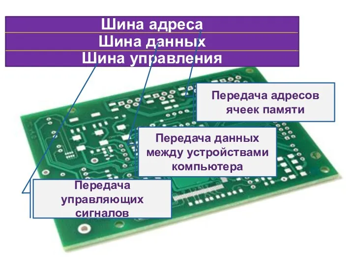 Шина адреса Шина данных Шина управления Передача адресов ячеек памяти Передача данных
